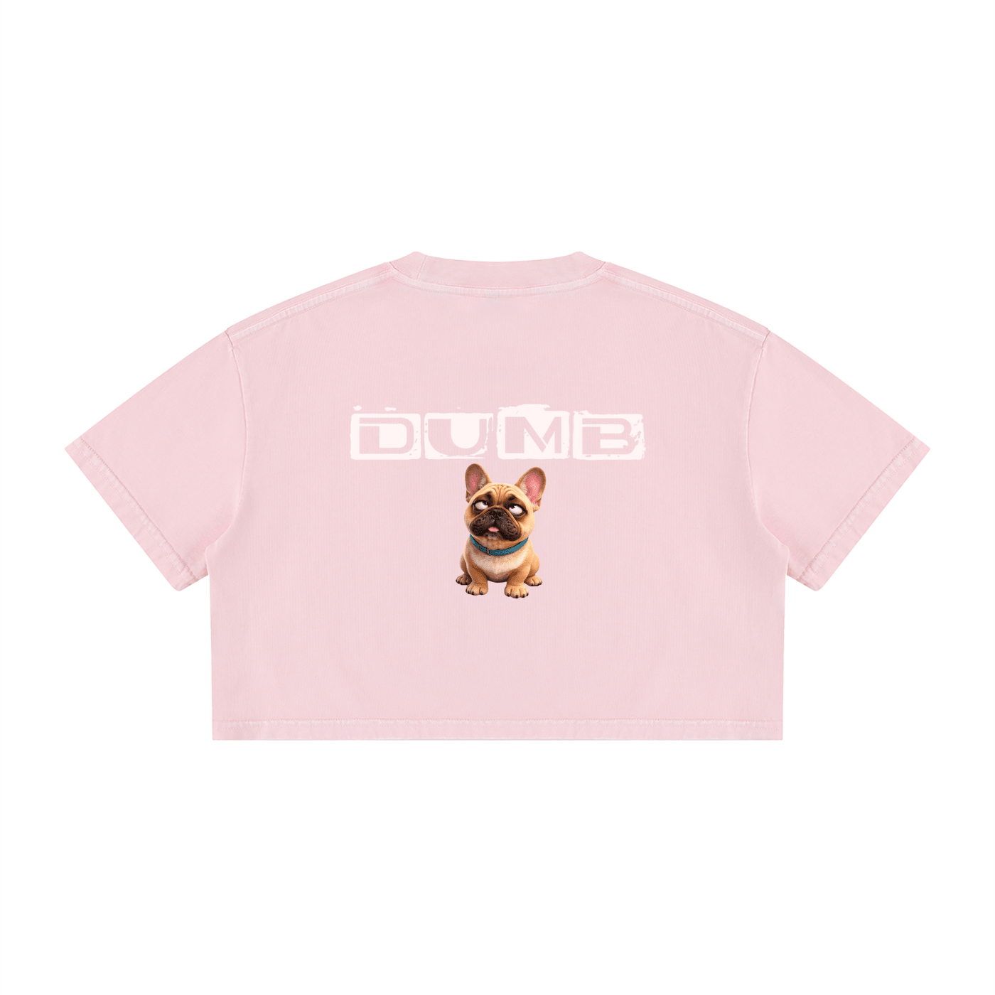 Women's Mineral Wash Cotton Crop T-Shirt - LUBLY