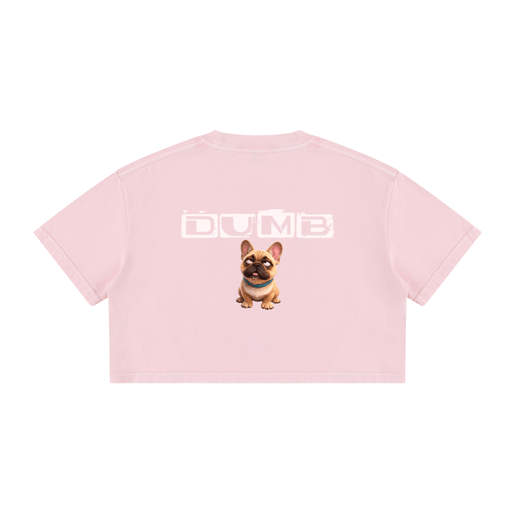 Women's Mineral Wash Cotton Crop T-Shirt - LUBLY