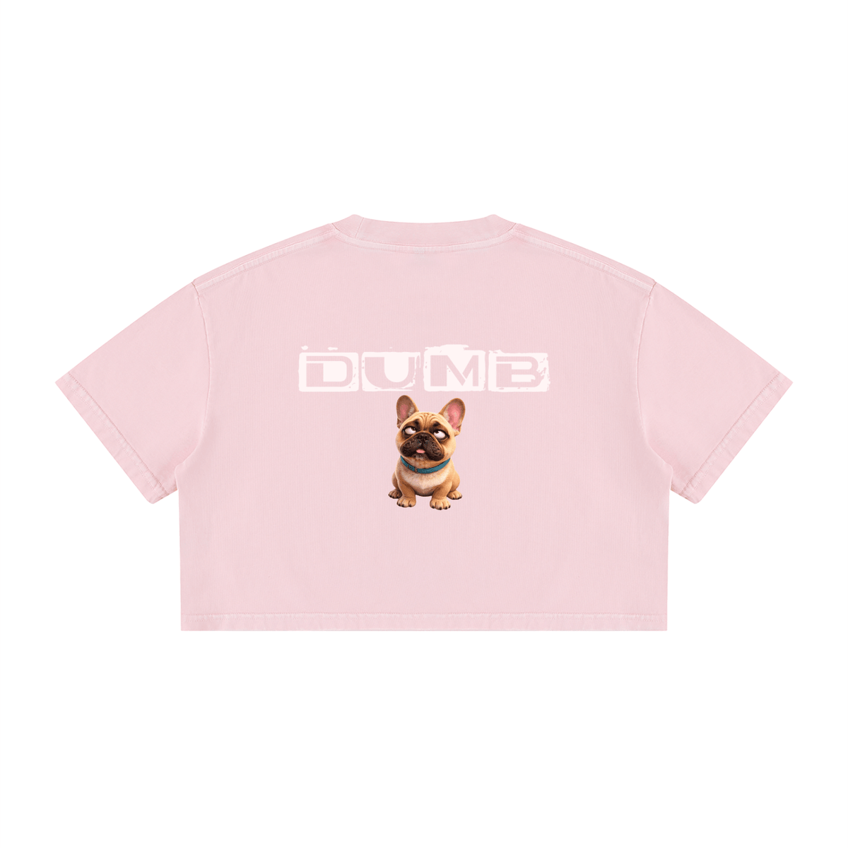 Women's Mineral Wash Cotton Crop T-Shirt - LUBLY